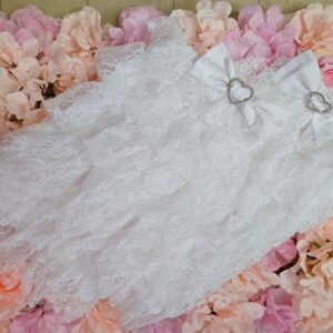 Sugar Lace Leg Warmers